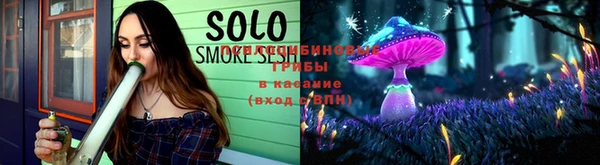 крисы Бугульма