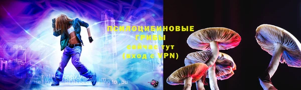 крисы Бугульма