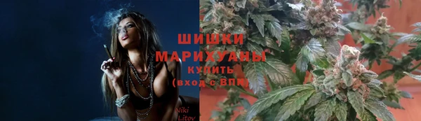 крисы Бугульма