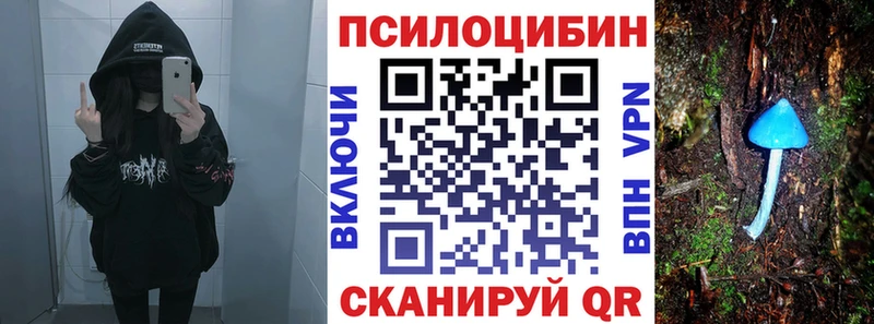 купить  цена  Конаково  Галлюциногенные грибы Psilocybine cubensis 